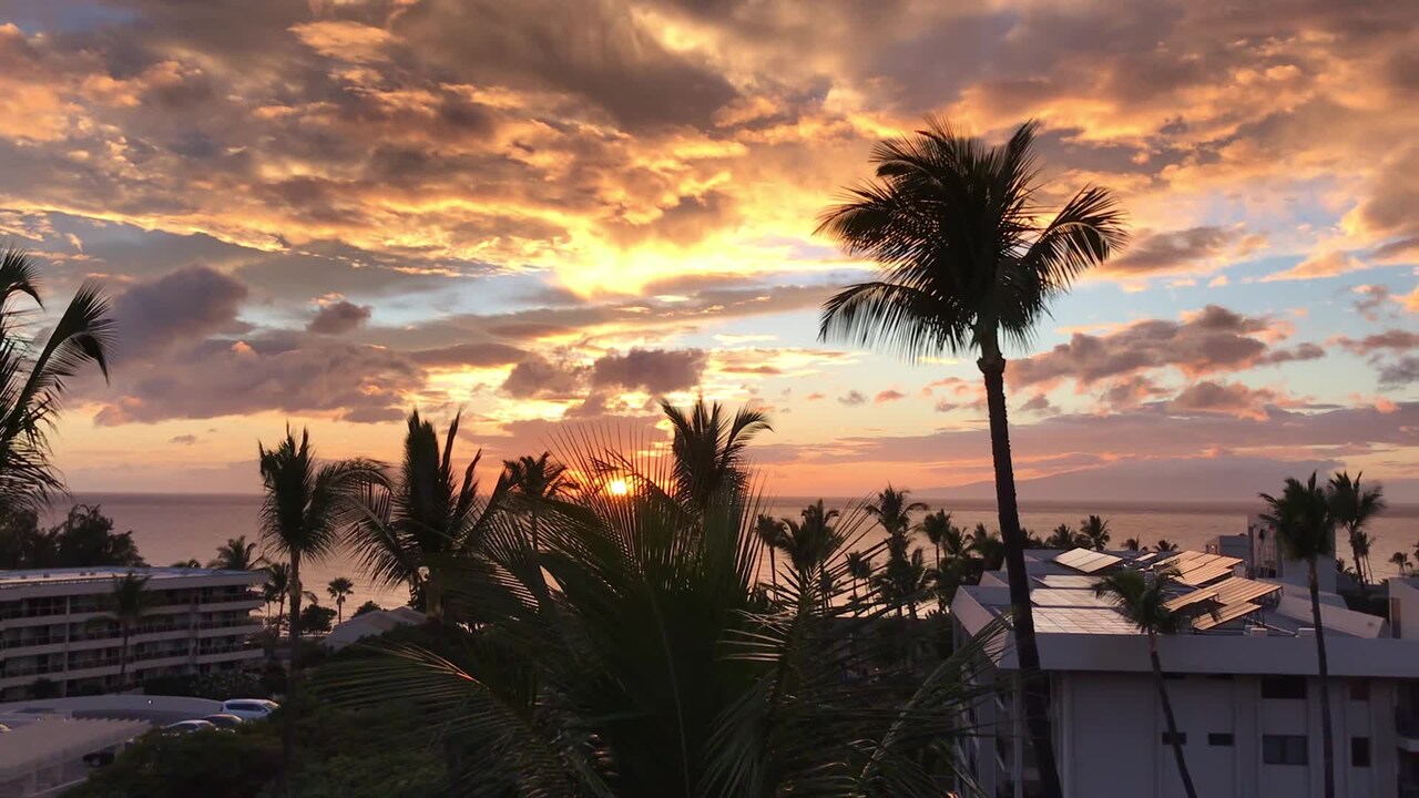 Video af overnatningsstedet