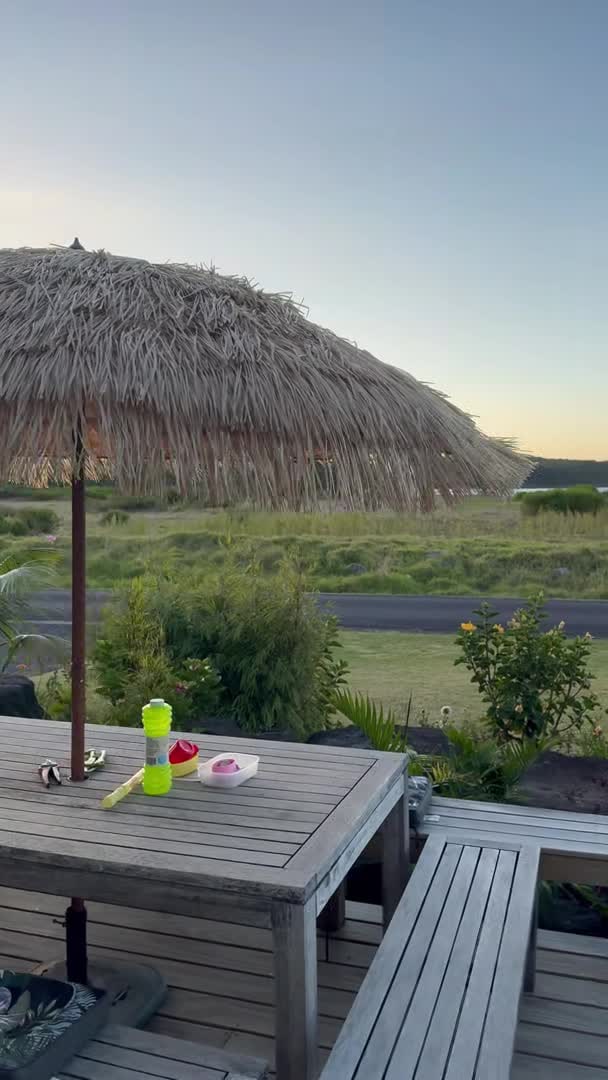 Property video