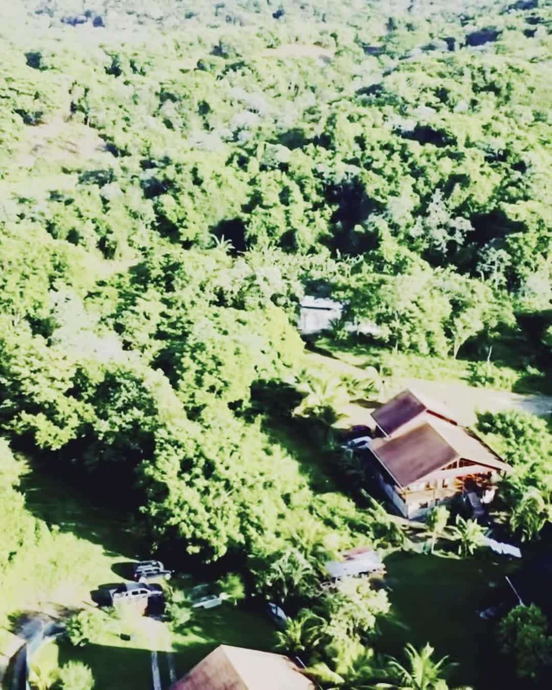 宿泊施設による動画