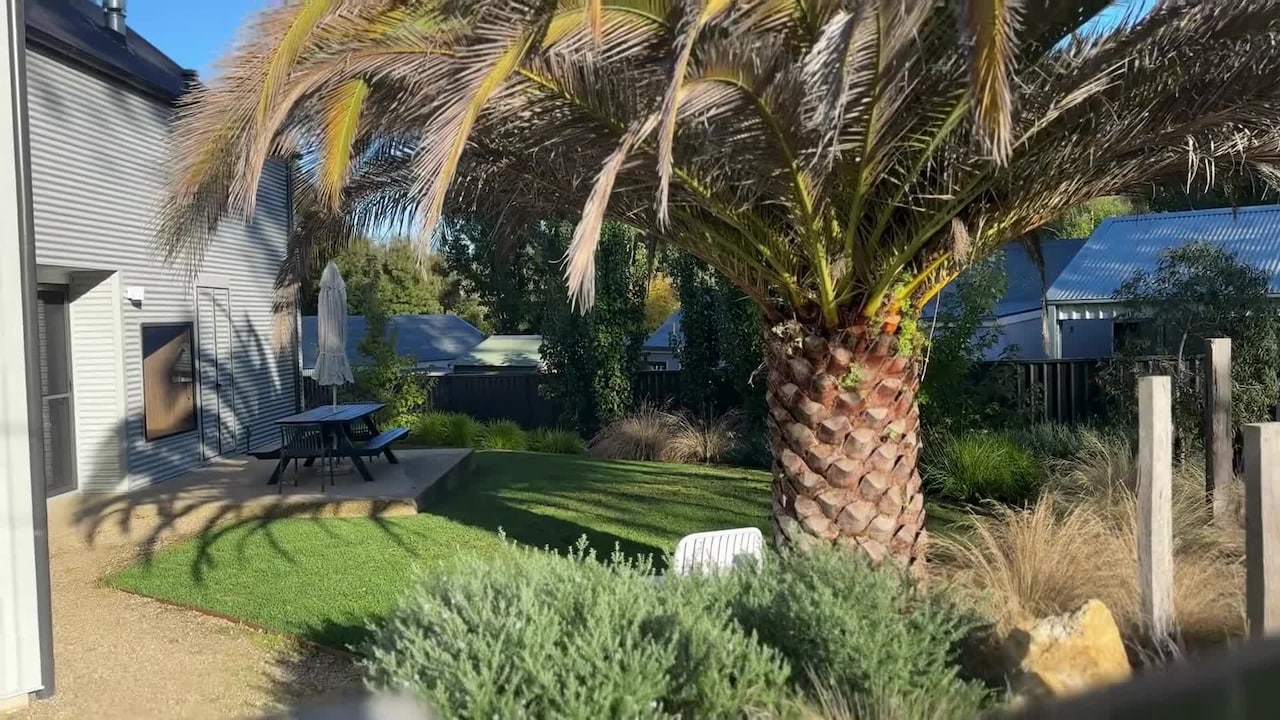 Video realizado por la propiedad