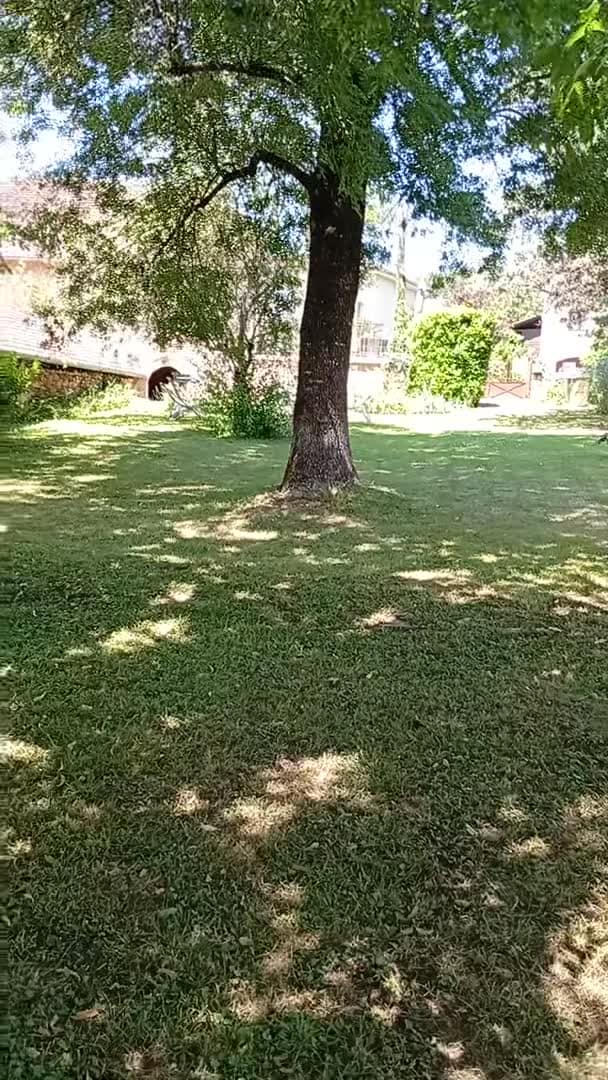 VidĂ©o de lâhĂ©bergement
