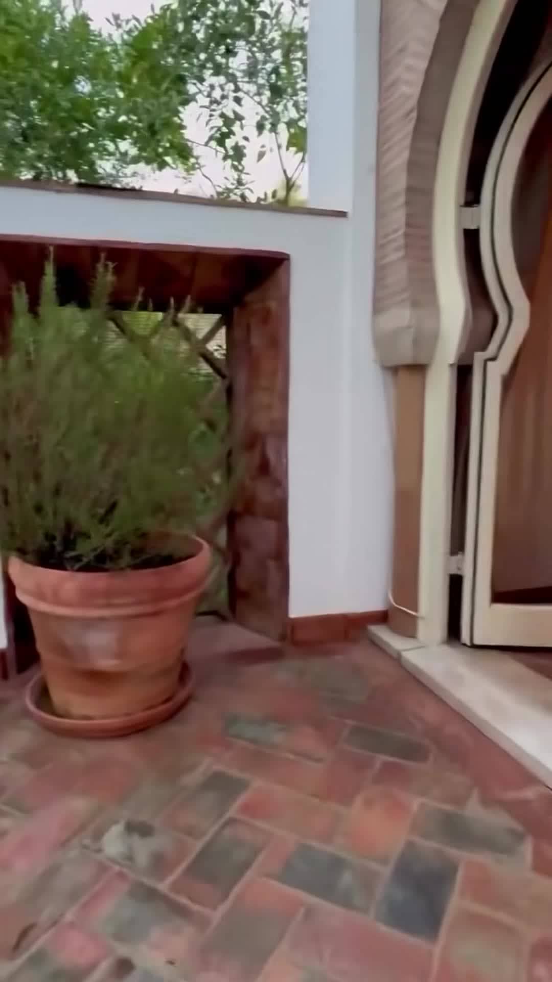 Vidéo de l’hébergement