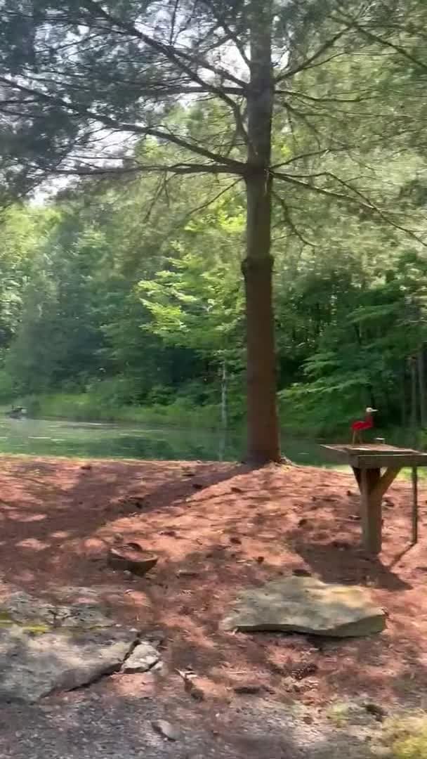 Property video