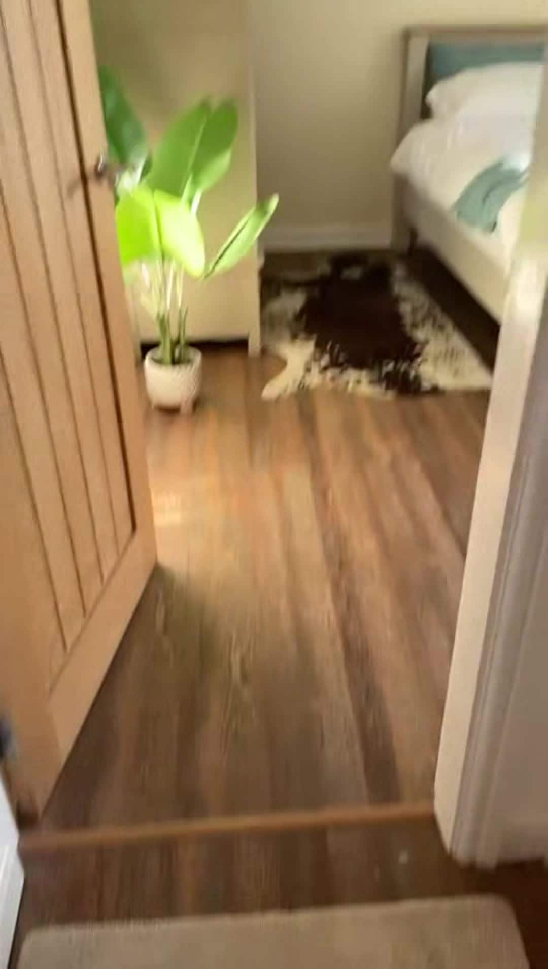 Video der Unterkunft