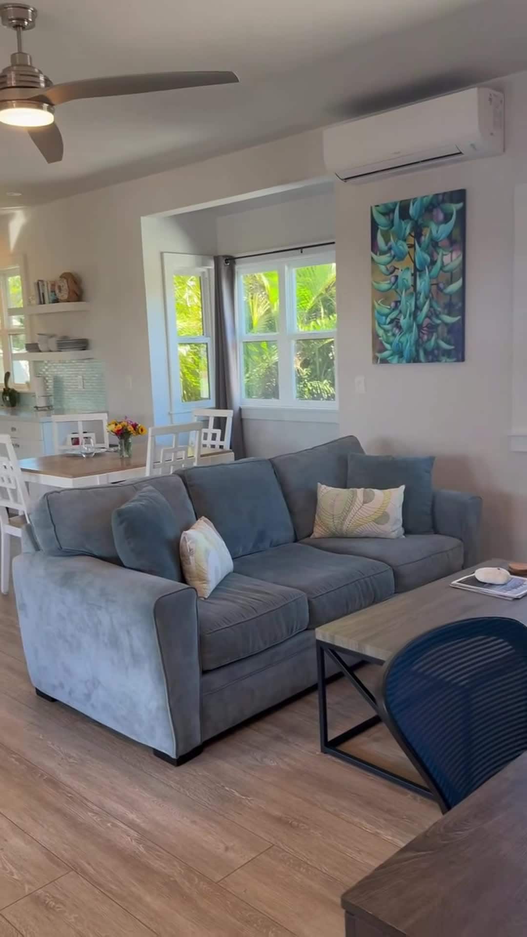 Property video