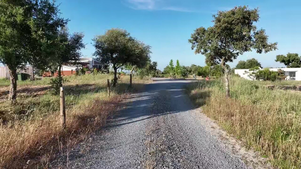 Property video