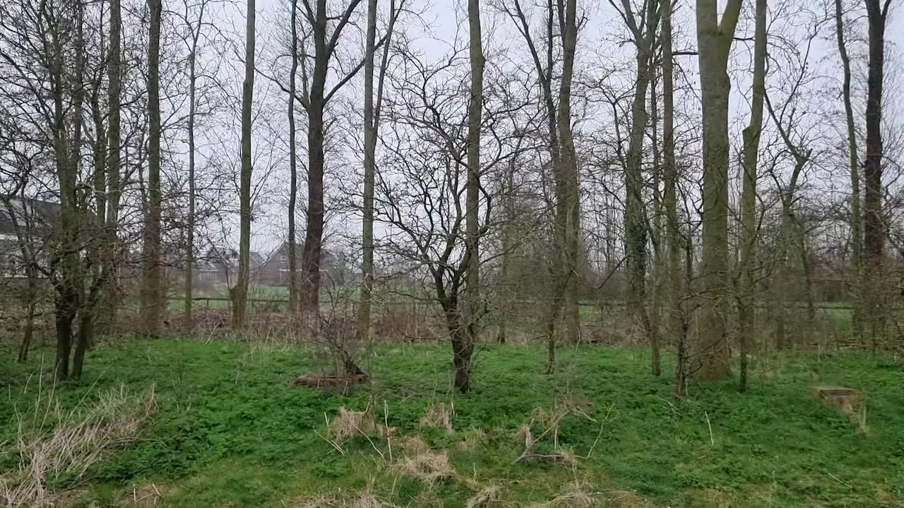 Video der Unterkunft