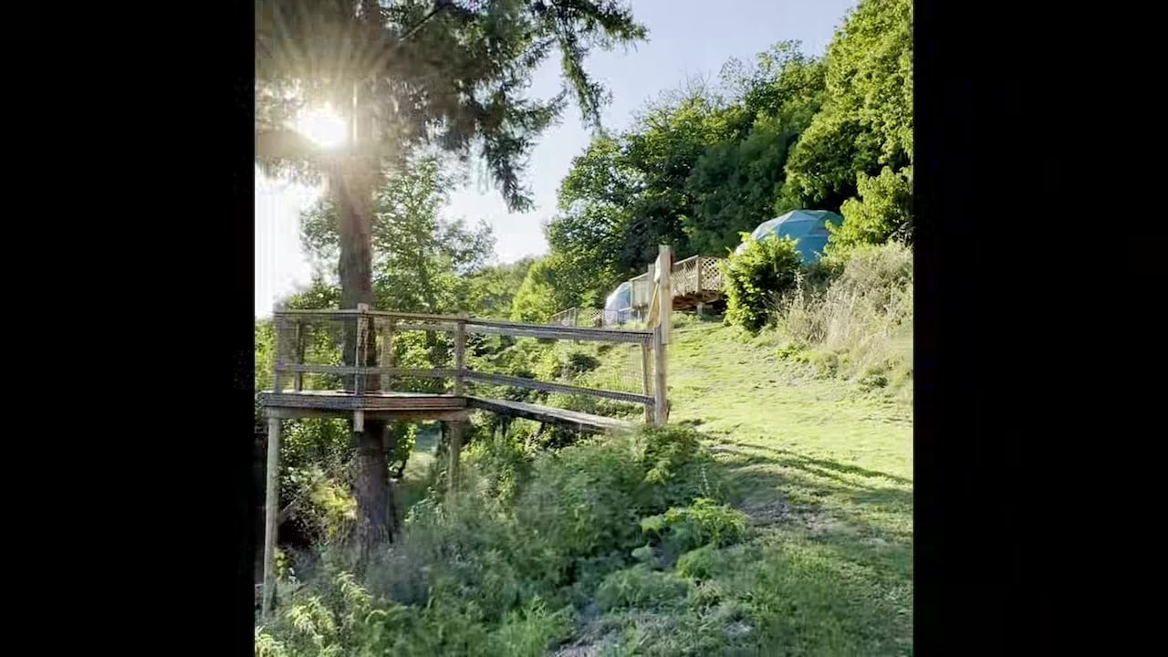 Property video