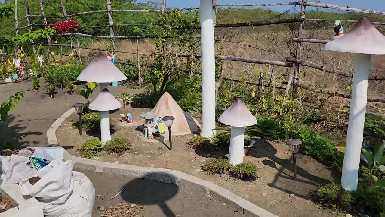 Property video