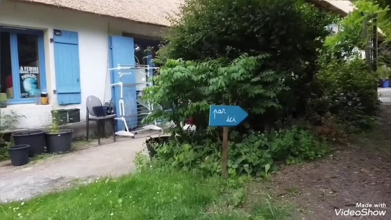 Property video