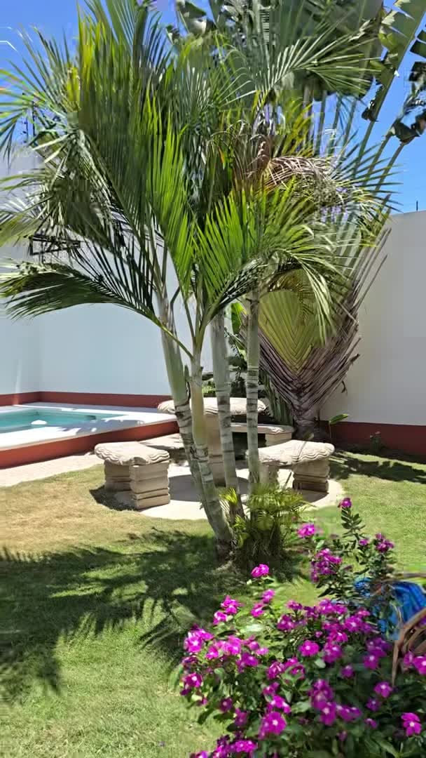Property video