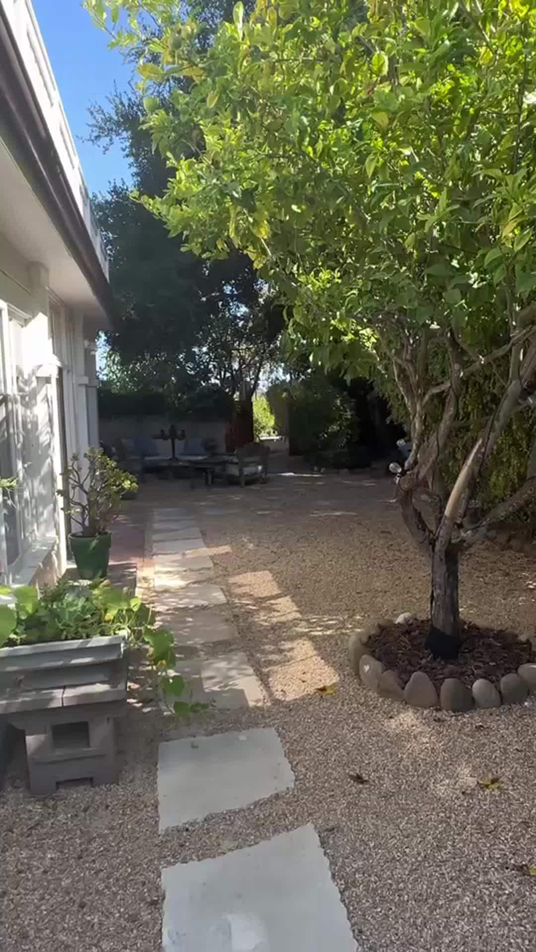 Property video