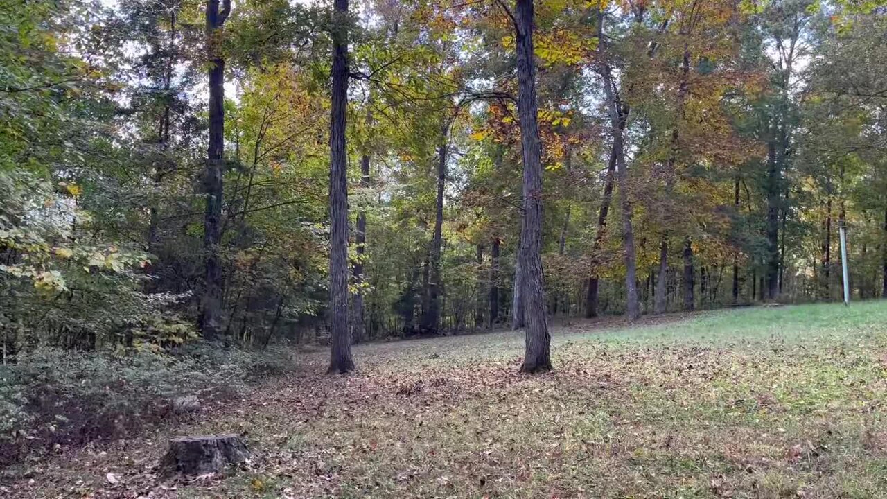 Property video