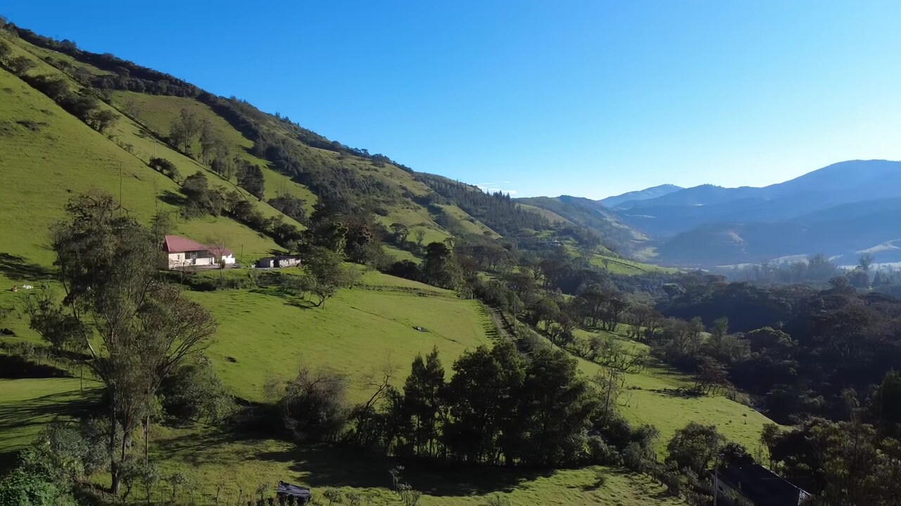 Video realizado por la propiedad