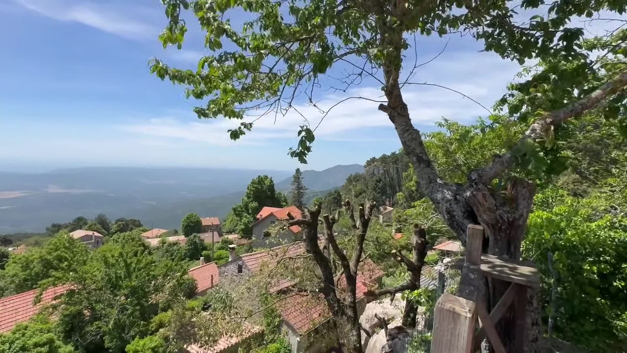 VidĂ©o de lâhĂ©bergement