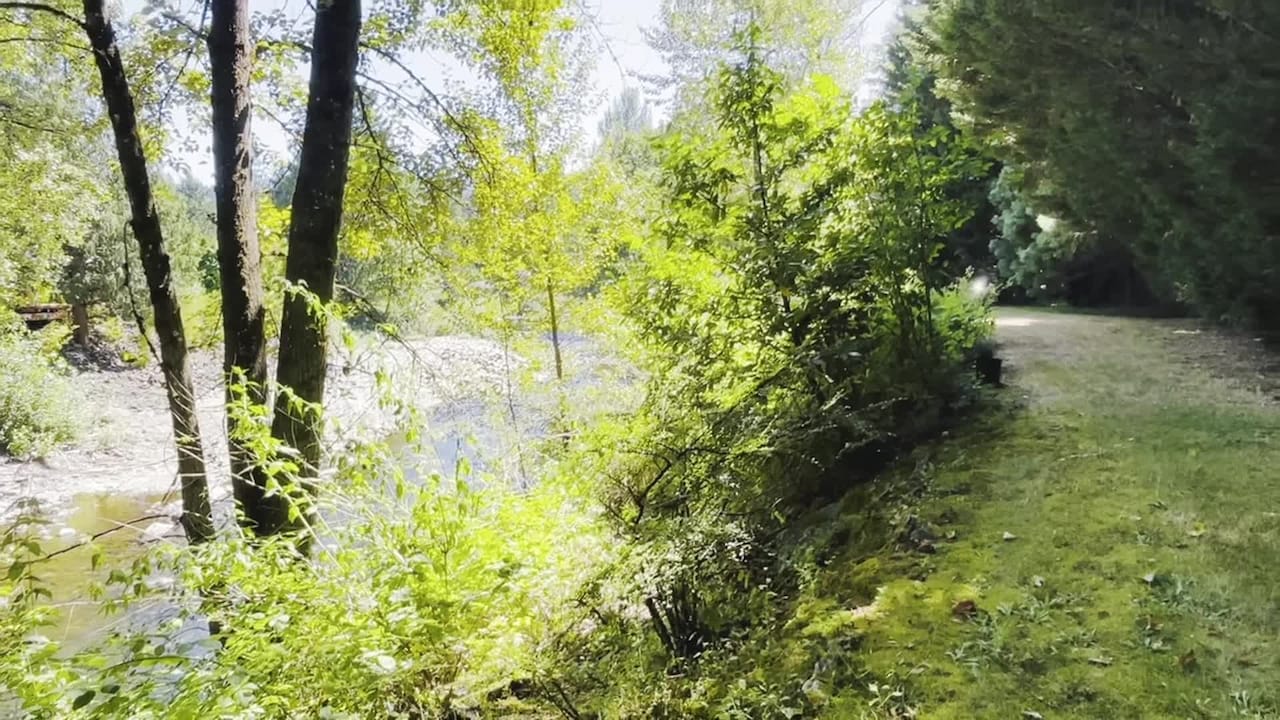 Property video
