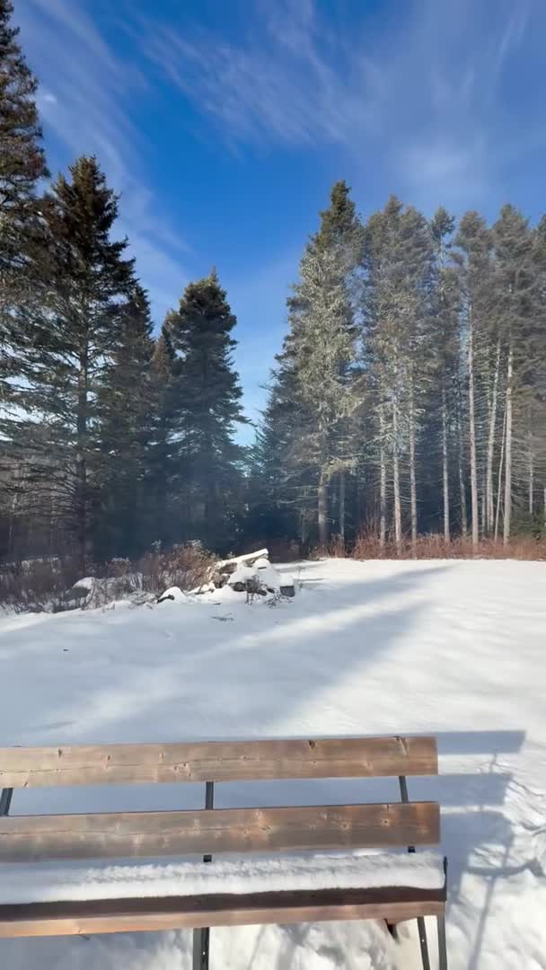 Video der Unterkunft