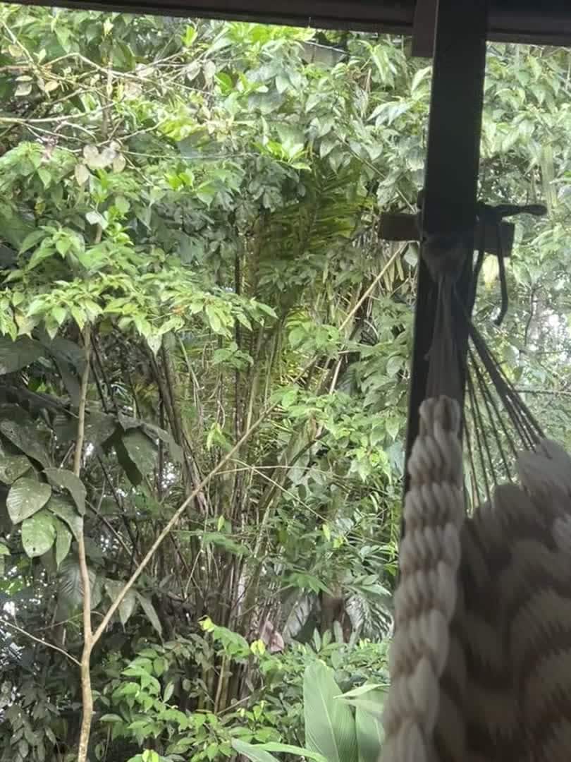 Video der Unterkunft