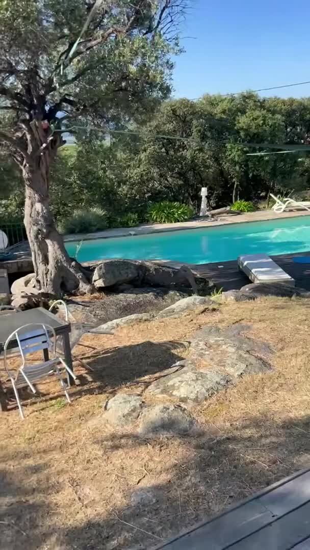Property video