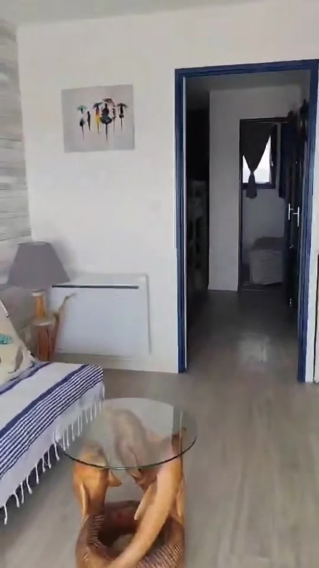 Property video