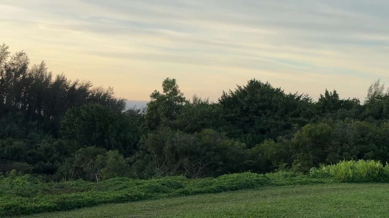 Vídeo hecho por el alojamiento