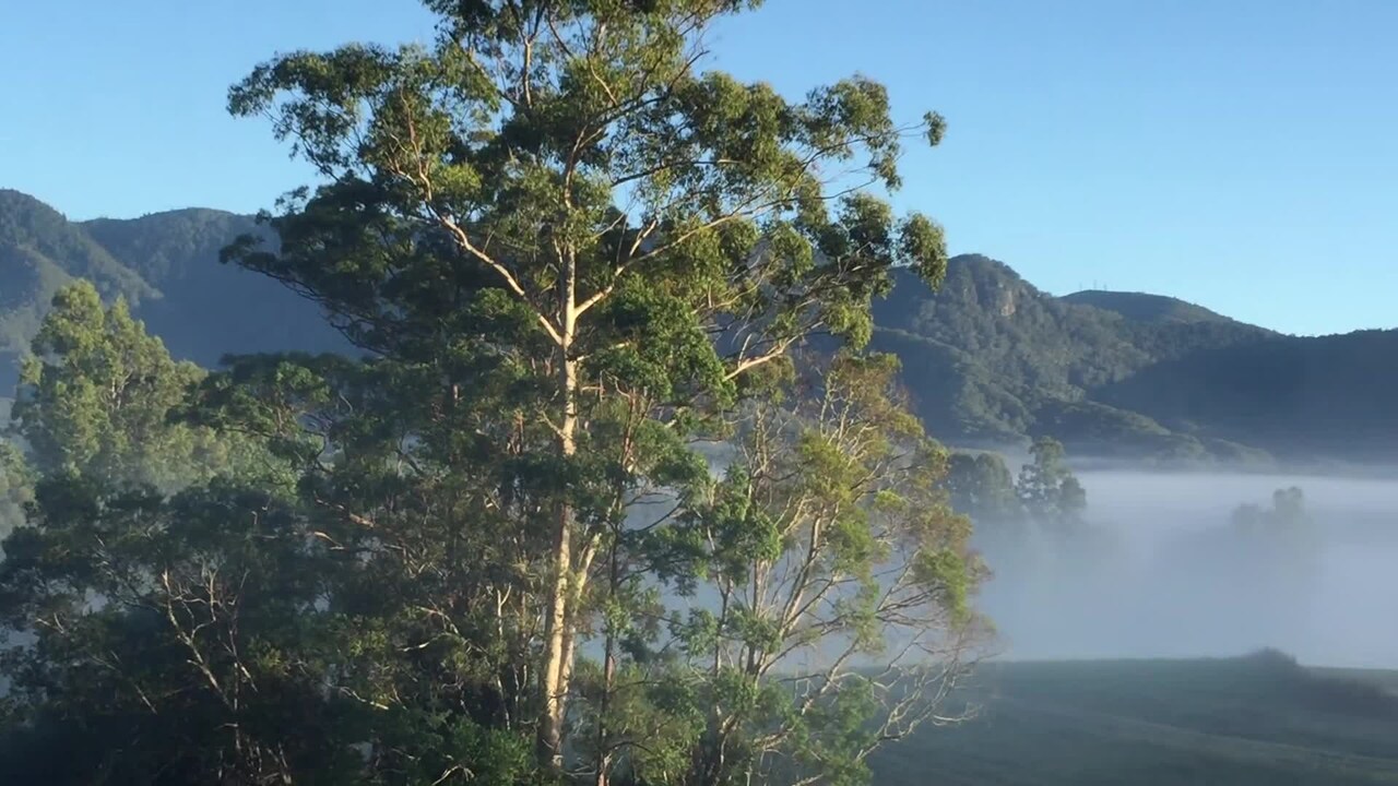 Video realizado por la propiedad