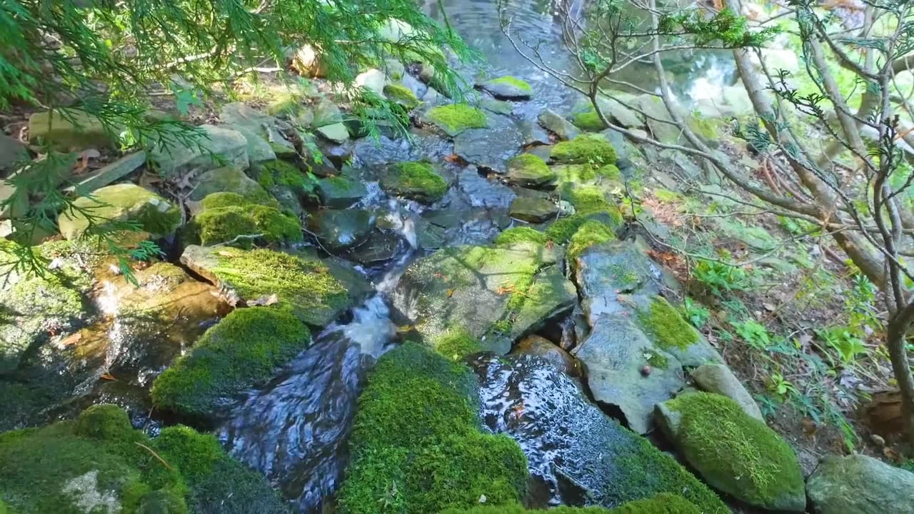 Property video