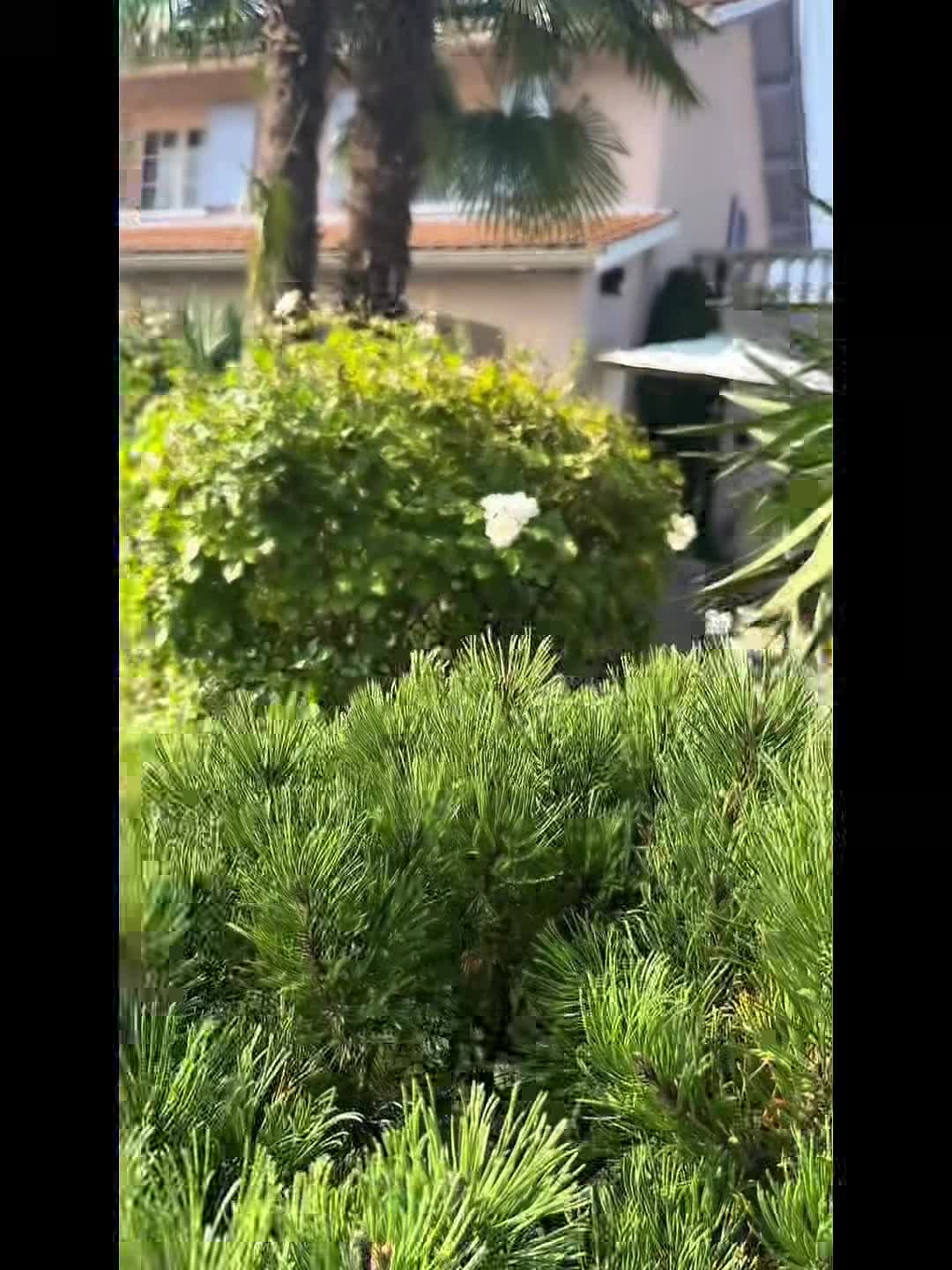 Video struttura