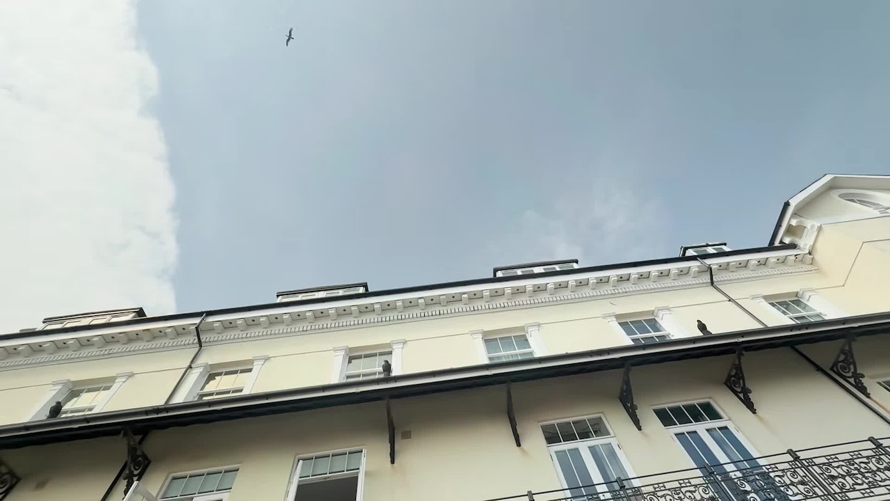 VidĂ©o de lâhĂ©bergement