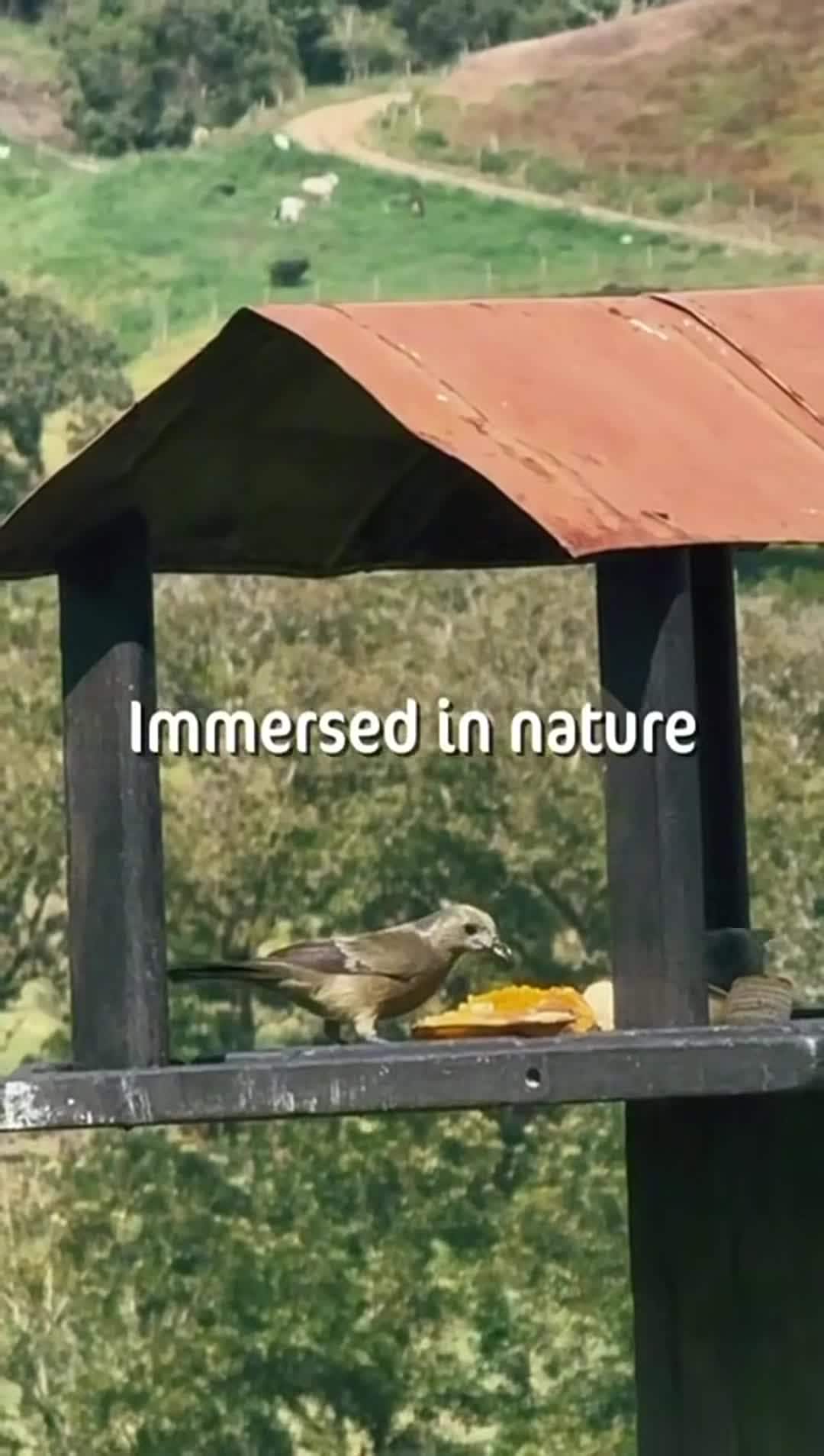 Video realizado por la propiedad