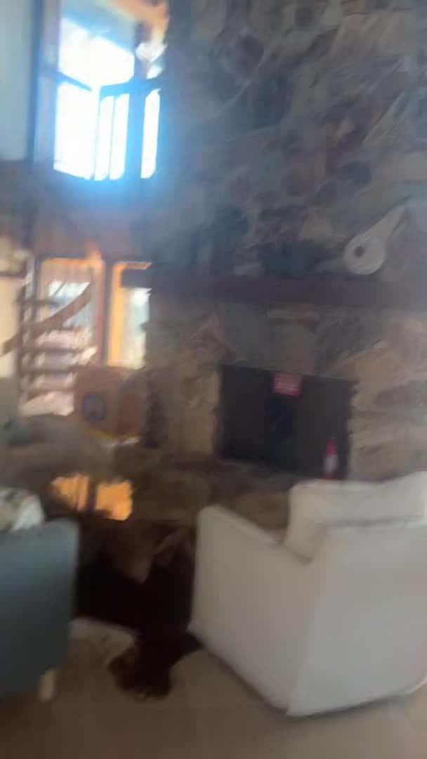 Video der Unterkunft