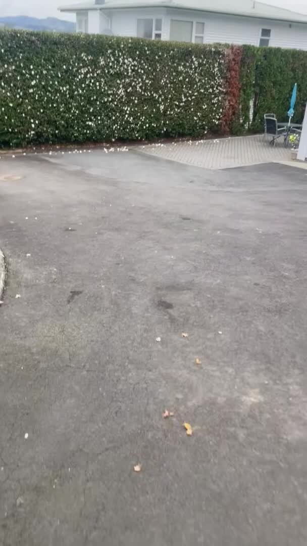 Property video