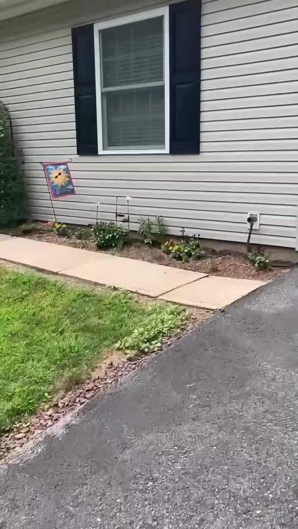 Property video