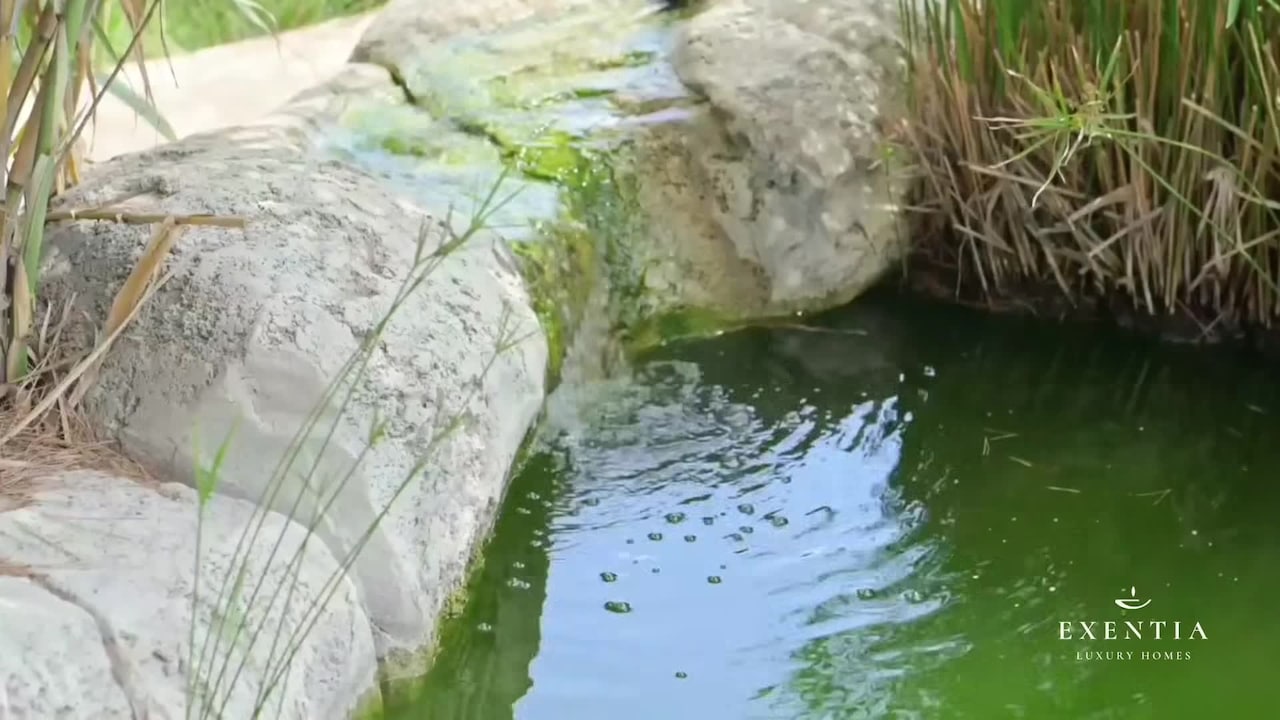 Vidéo de l’hébergement