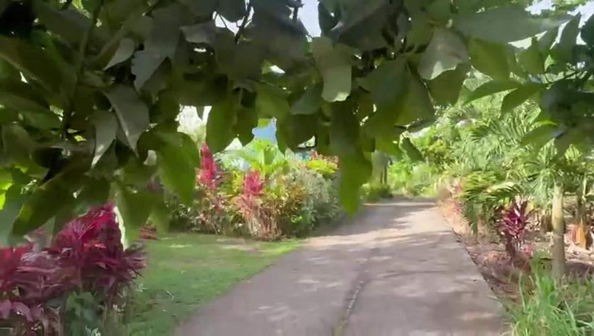 Property video