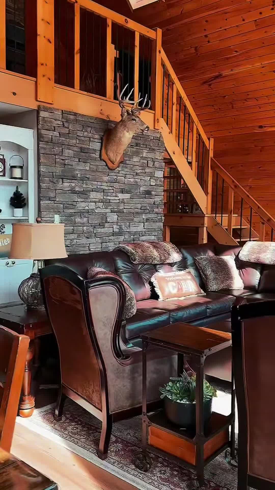 Video realizado por la propiedad