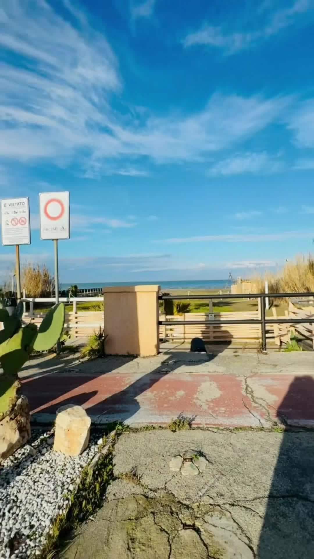Property video