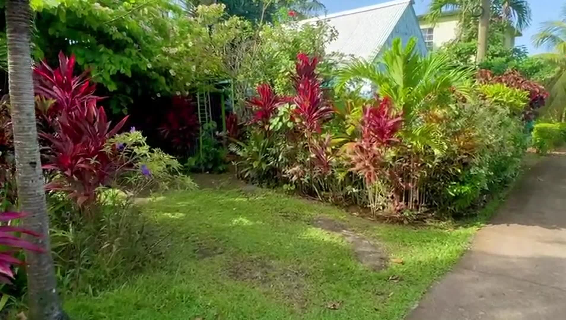 Property video