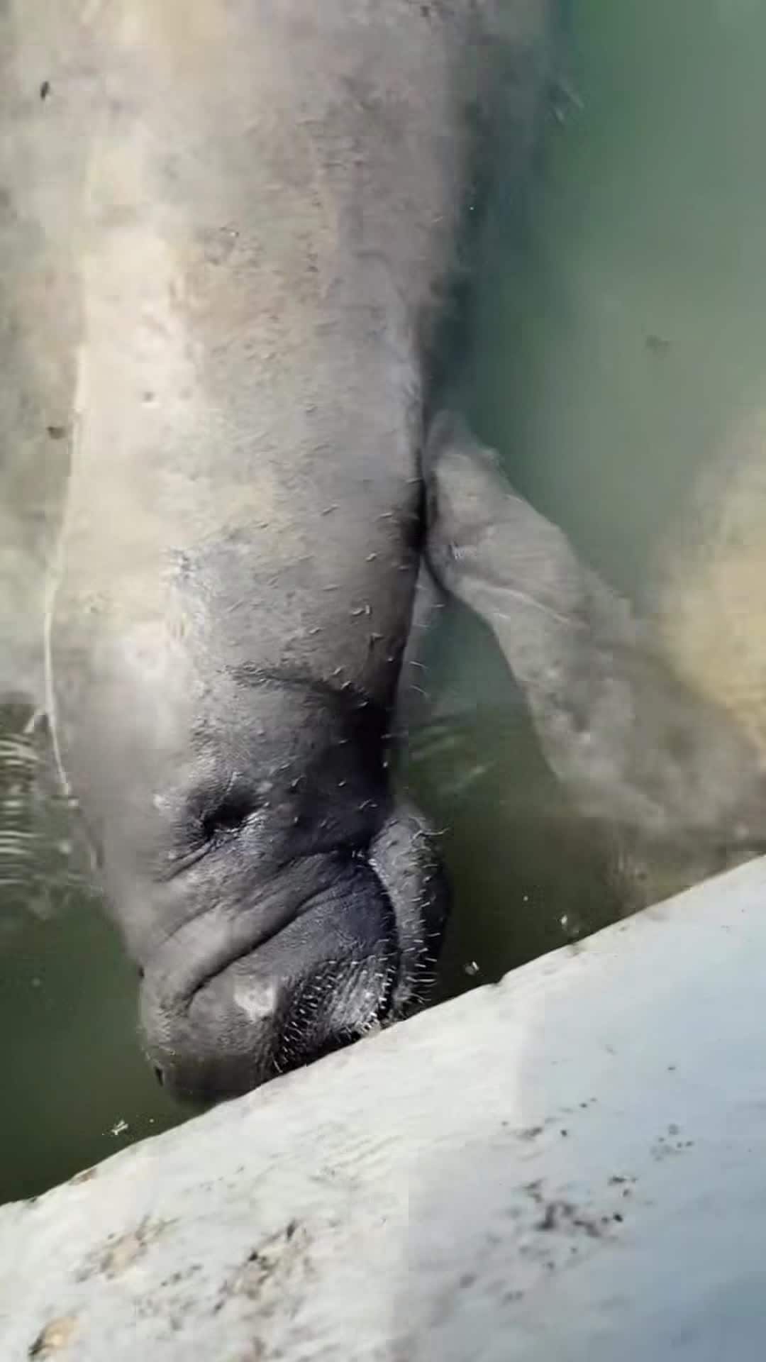 Video der Unterkunft