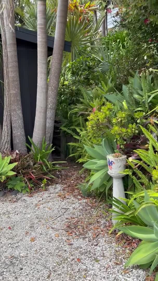 Vídeo hecho por el alojamiento