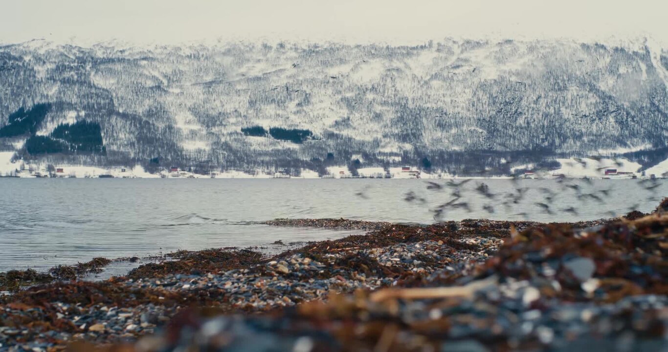 Vidéo de l’hébergement