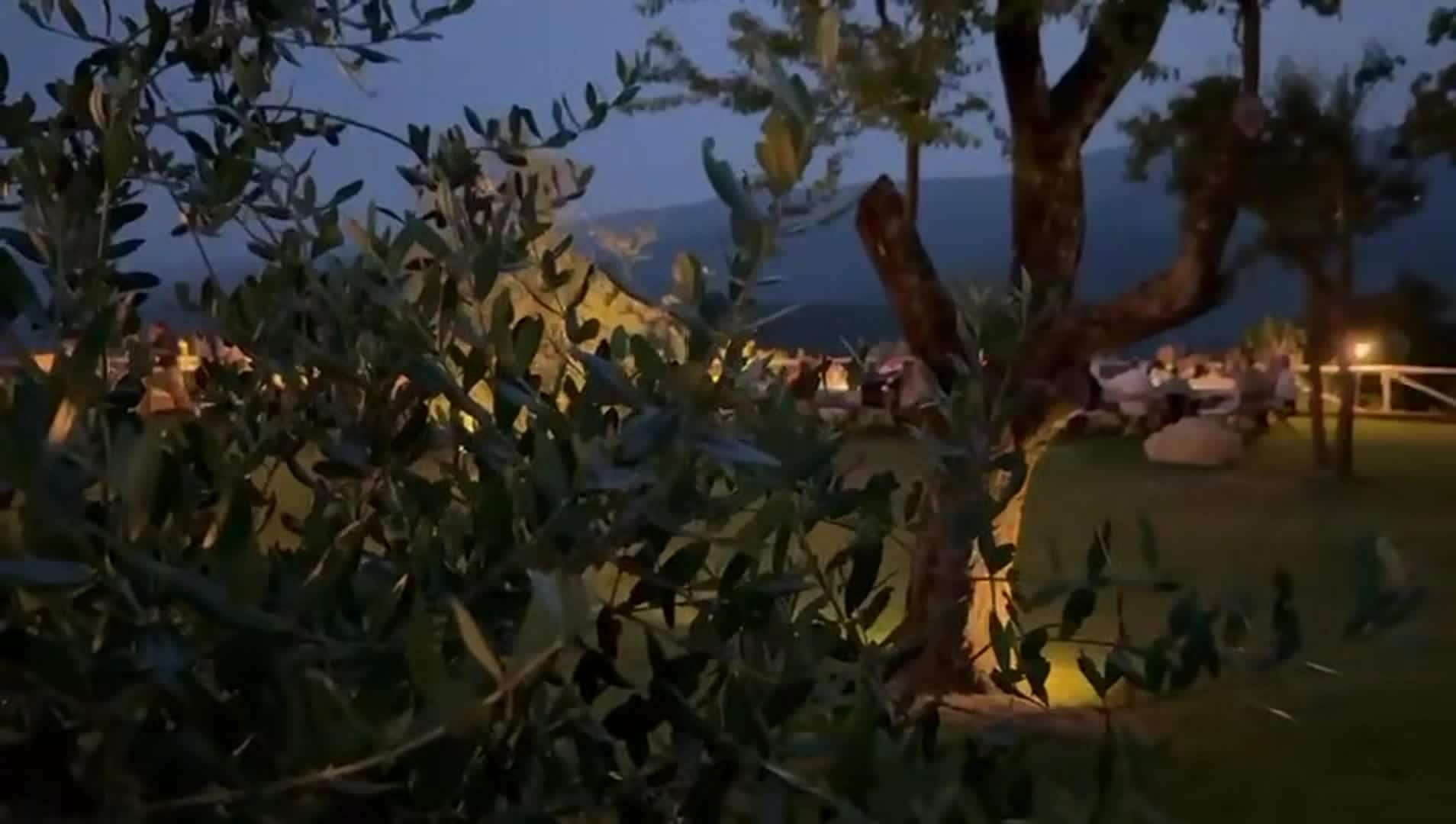 Video realizado por la propiedad