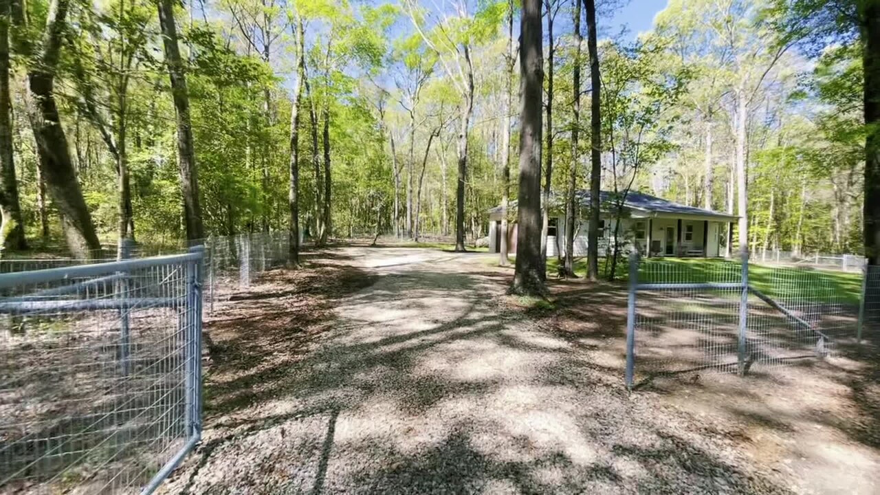 Property video