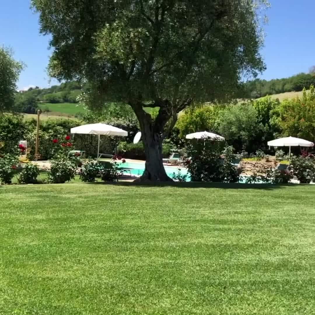 Property video
