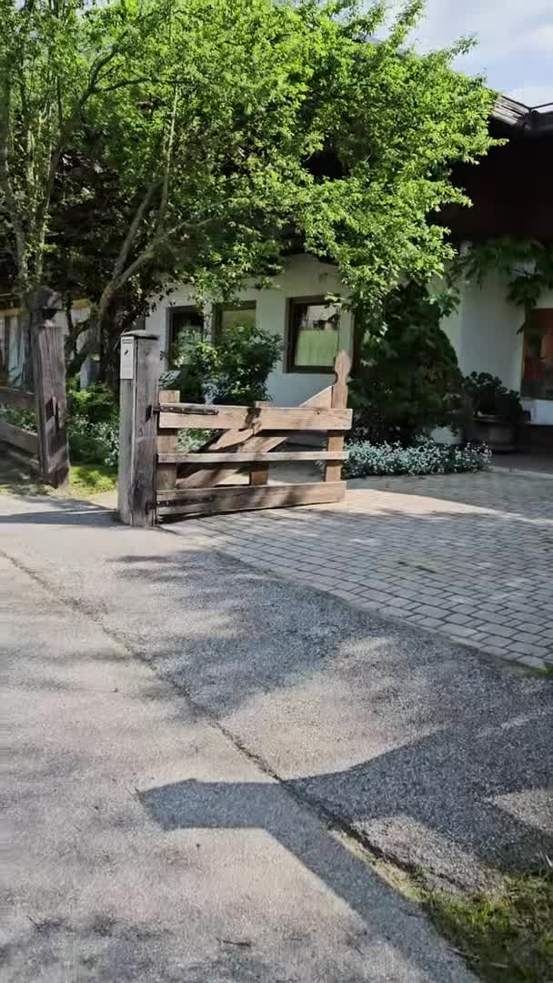 Property video