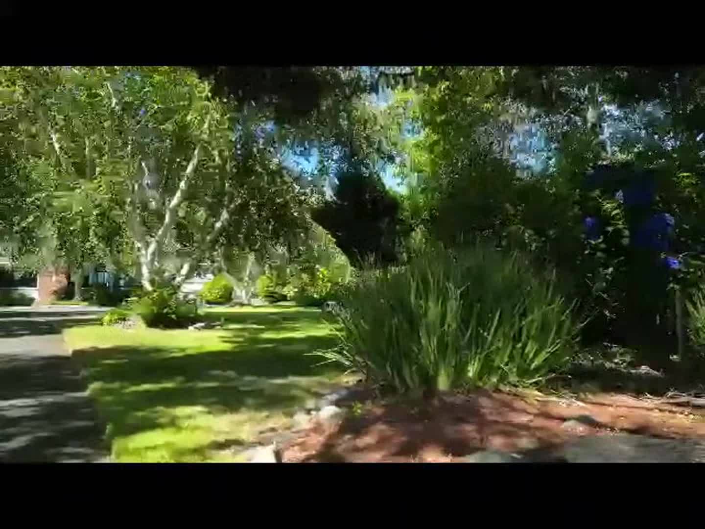 Vidéo de l’hébergement