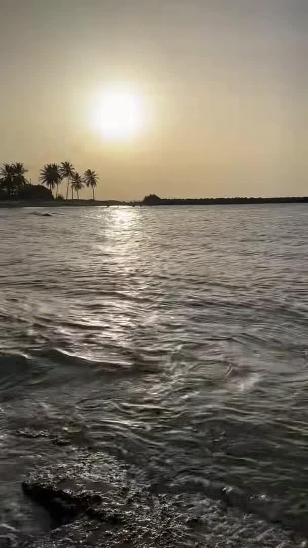 Vidéo de l’hébergement