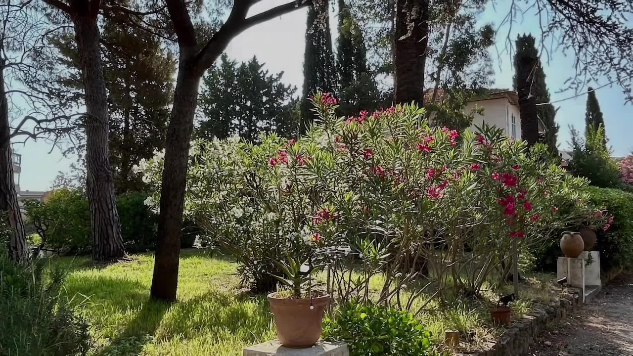 Video realizado por la propiedad