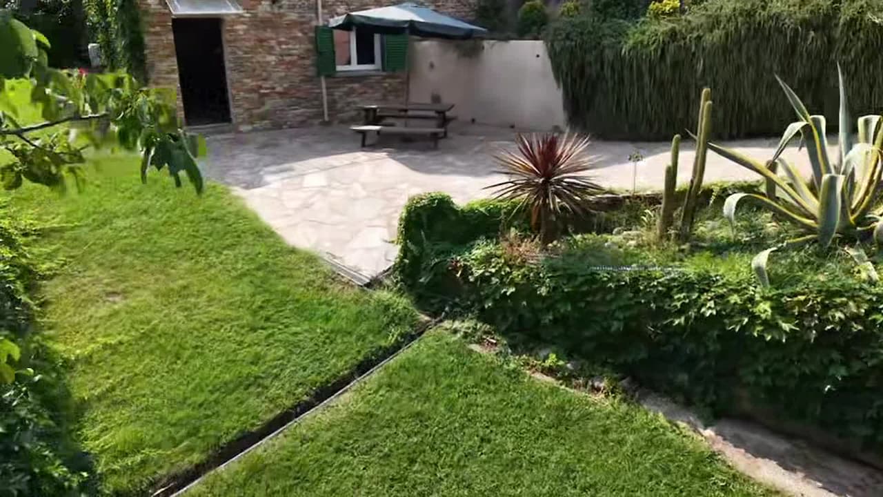 Video realizado por la propiedad