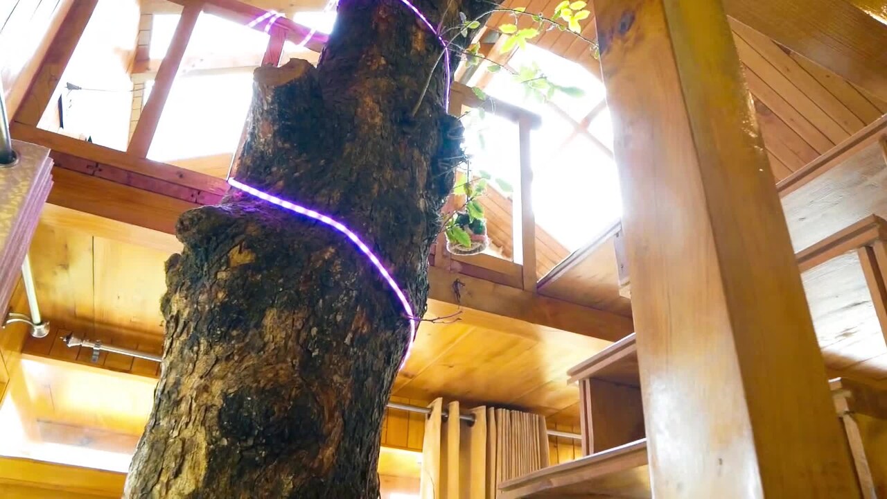 Property video